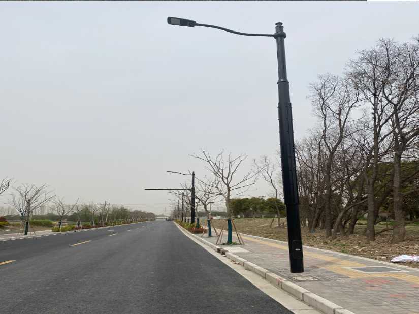 寿光市上海综合杆 太阳能路灯工程